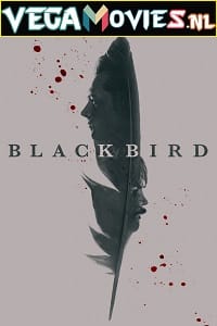 Download Black Bird (2022) Season 1 [S01E06 Added] [English With Hindi + English Subtitles] Appletv+ Original 720p HEVC [250MB] WEB-DL