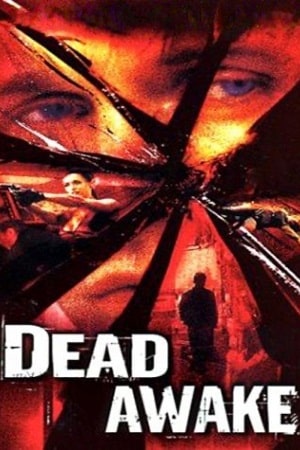 Download Dead Awake (2001) Dual Audio {Hindi-English} WEB-DL 480p [320MB] | 720p [950MB] | 1080p [2GB]