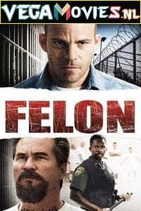 Download Felon (2008) Dual Audio [Hindi + English] WeB-DL 480p [450MB] | 720p [1GB] | 1080p [2GB]