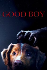 Download Good Boy (2025) {English With Subtitles} Full Movie