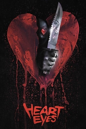 Download Heart Eyes (2025) BluRay Dual Audio {Hindi-English} 480p [490MB] | 720p [860MB] | 1080p [2.1GB]