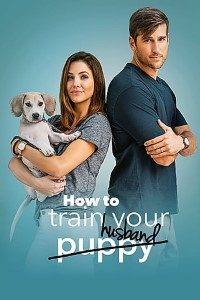 Download How to Train Your Husband (2018) Dual Audio {Hindi-English} 480p [300MB] | 720p [1GB] BluRay