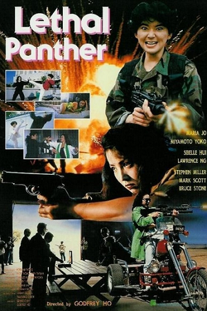 Download Lethal Panther (1990) BluRay Dual Audio {Hindi-English} 480p [350MB] | 720p [950MB] | 1080p [1.8GB]