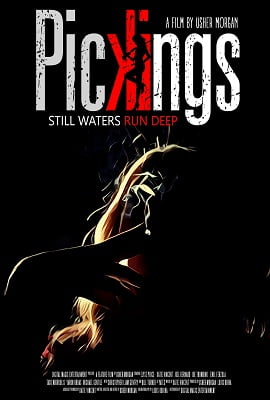 Download Pickings (2018) Dual Audio {Hindi-English} 480p [300MB] | 720p [900MB]