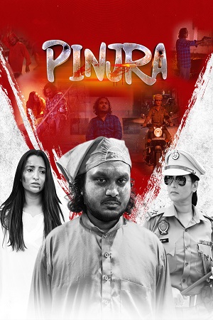 Download Pinjra (2025) WEB-DL {Punjabi DD5.1} Full Movie 480p [340MB] | 720p [1GB] | 1080p [2.1GB]