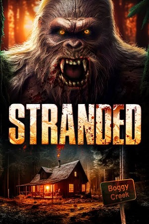 Download Stranded (2023) Dual Audio {Hindi-English} BluRay 480p [300MB] | 720p [800MB] | 1080p [2GB]