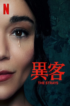 Download The Strays – Netflix Original (2023) WEB-DL Dual Audio {Hindi-English} 480p [300MB] | 720p [650MB] | 1080p [1.3GB]