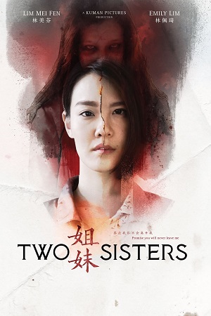 Download Two Sisters (2019) WEB-DL Dual Audio {Hindi-Chinese} 480p [310MB] | 720p [890MB] | 1080p [2.1GB]