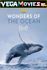 Download Wonders of the Ocean (2021) Season 1 Hindi Complete DSNP WEB Series 480p | 720p HDRip