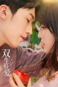 Download Double Love (Season 1) Dual Audio {Hindi-Chinese} C-Drama Series 480p 720p & 1080p WEB-DL